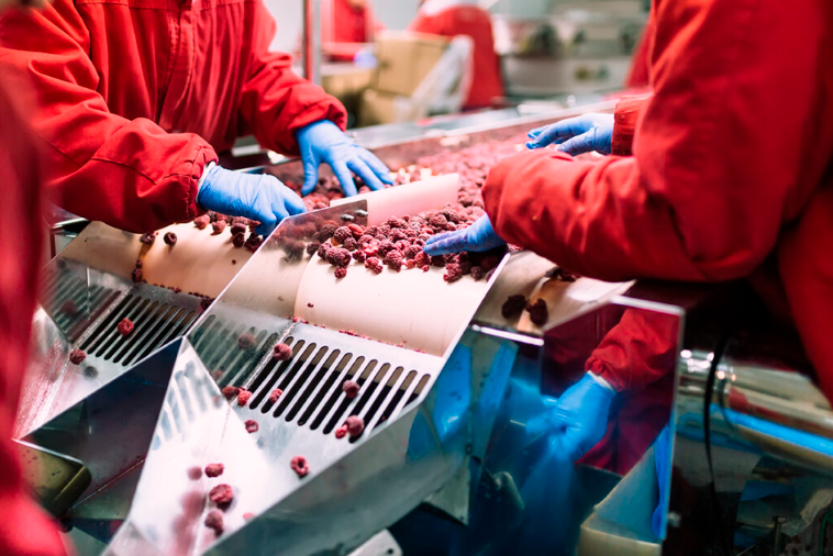 Industria alimenticia